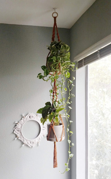 Double Pickett // Plant Hanger (Pre-made)
