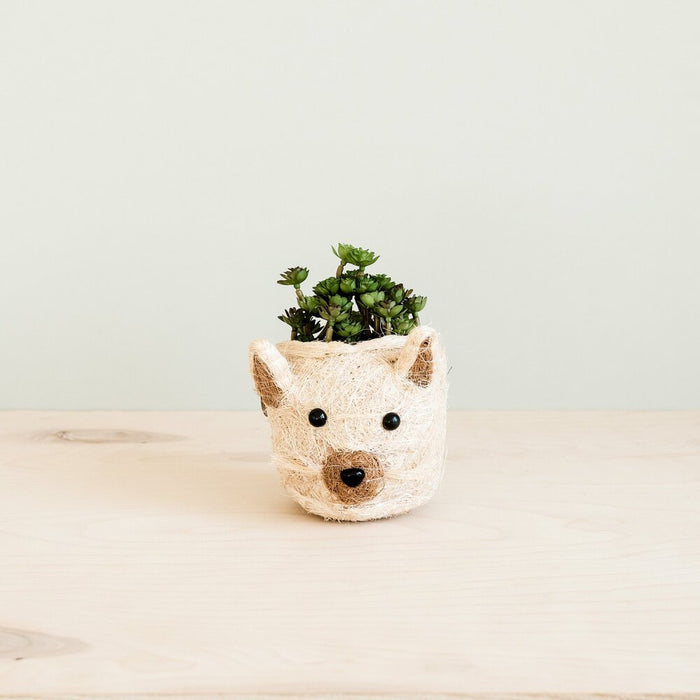 Animal Planter - Cat Mini Pot