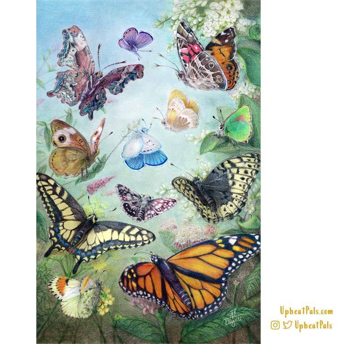 Butterflies Colored Pencil Poster Print