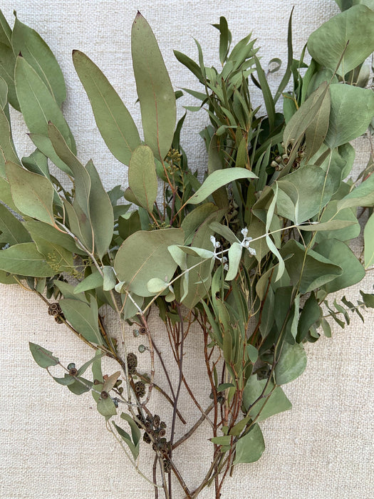 Eucalyptus lovers DRIED bouquet -  big and beautiful!  10 stems, mixed species, long-lasting and fragrant!