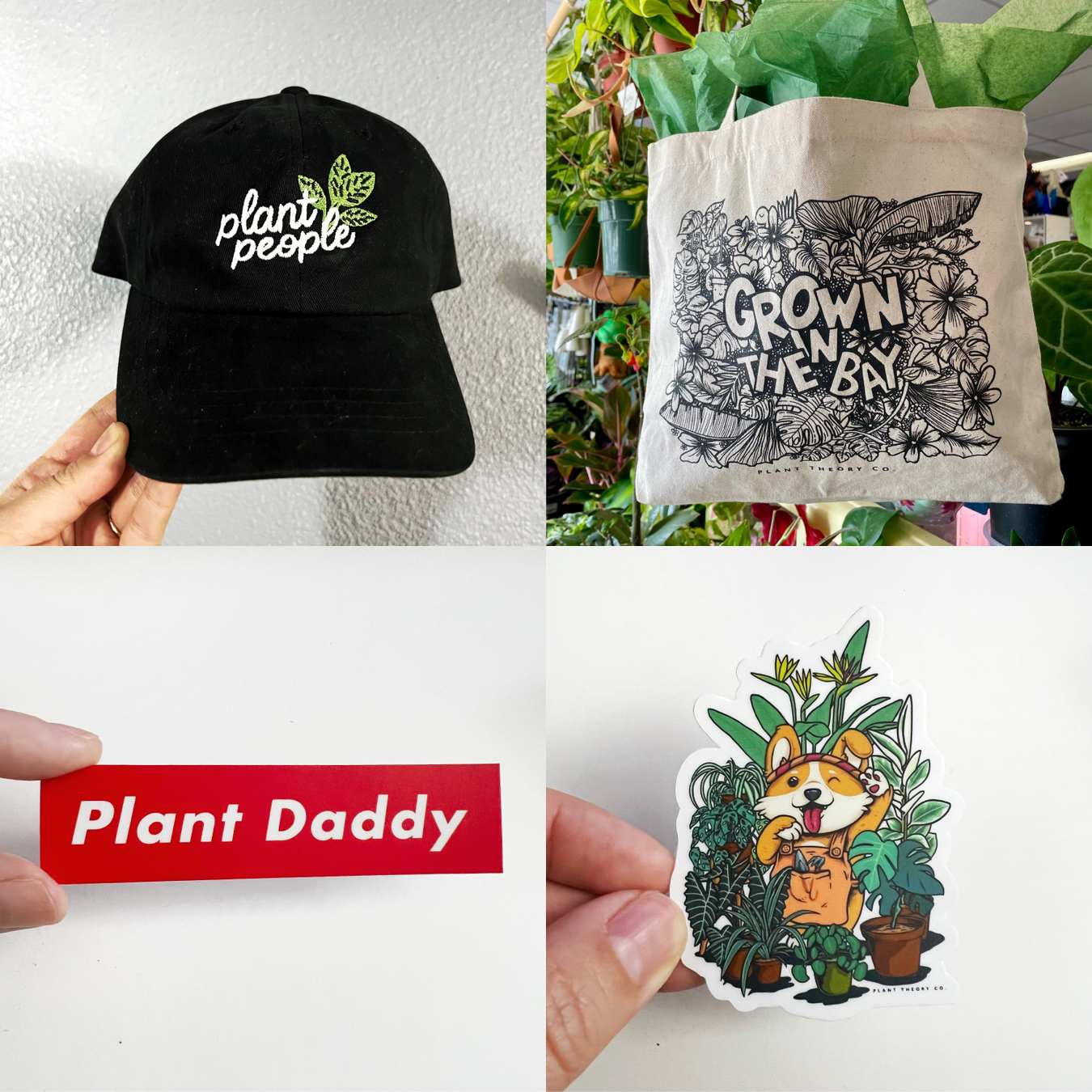 Plant Theory Co.
