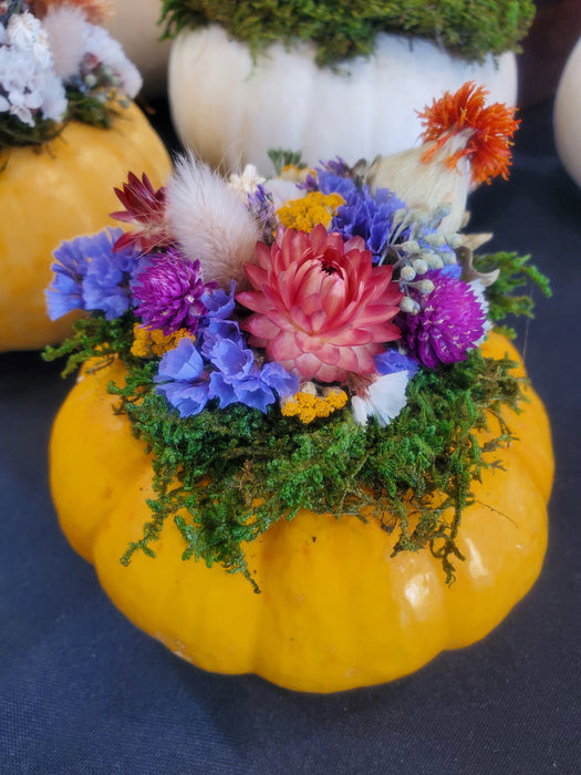 Medium Dried Flower Pumpkin
