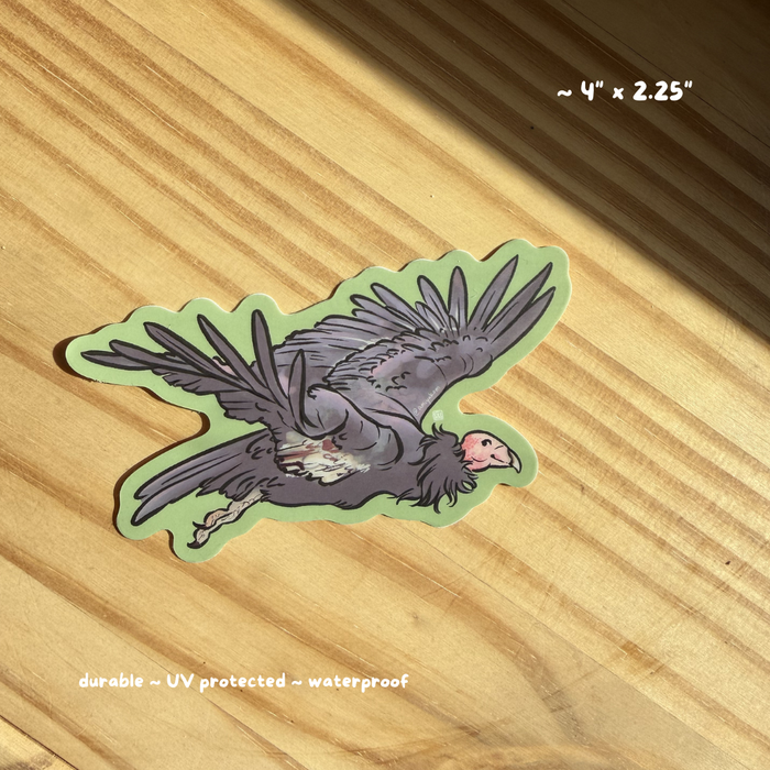 California Condor Sticker