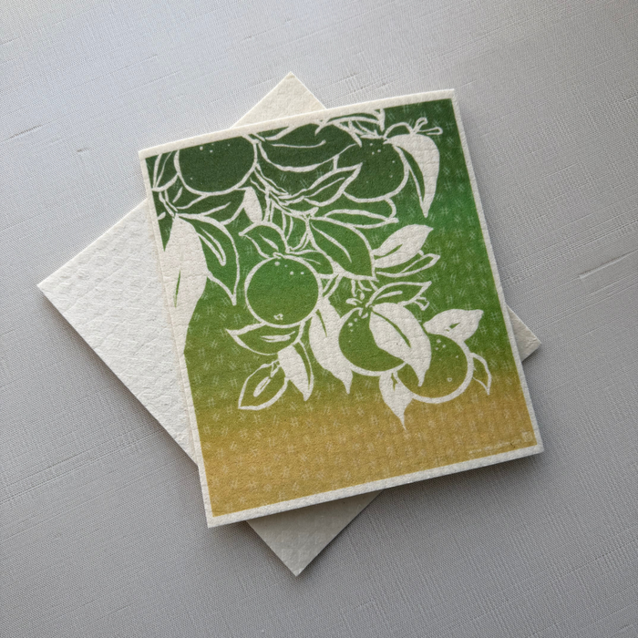 Eco Cloth
