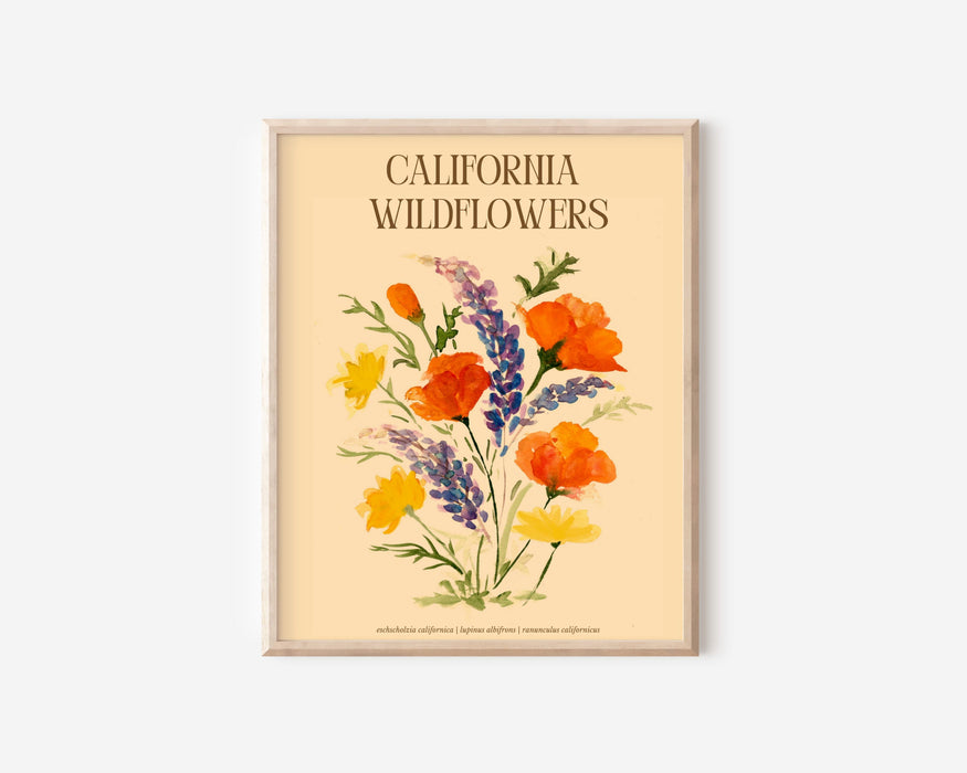 California Wildflowers Print 8x10