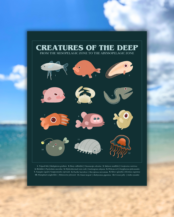 8.5"x11" Creatures of the Deep Print
