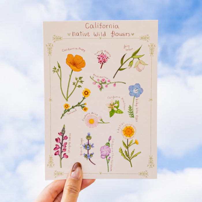 California Native Flowers Print