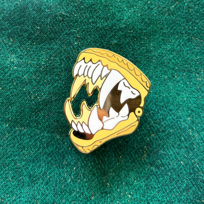 D&D Class Curiosities Pins