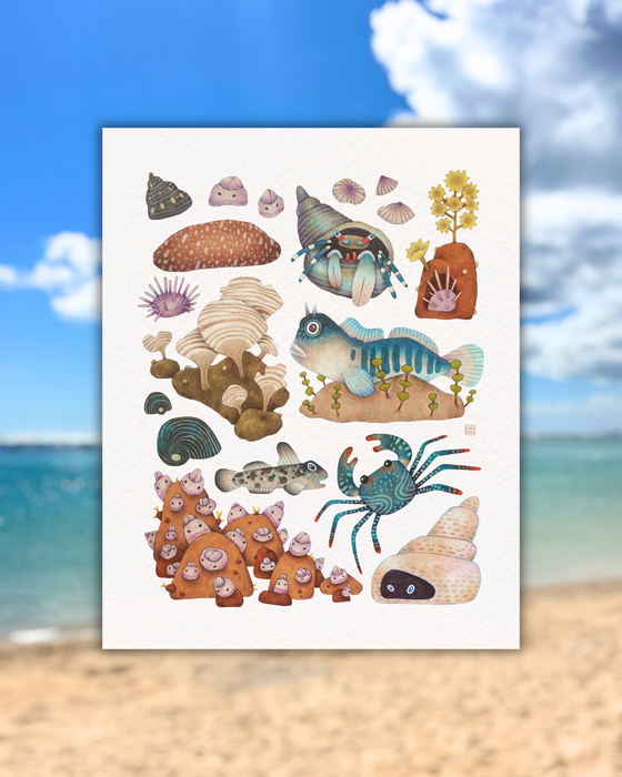 Hawaiʻi Tidepool Print