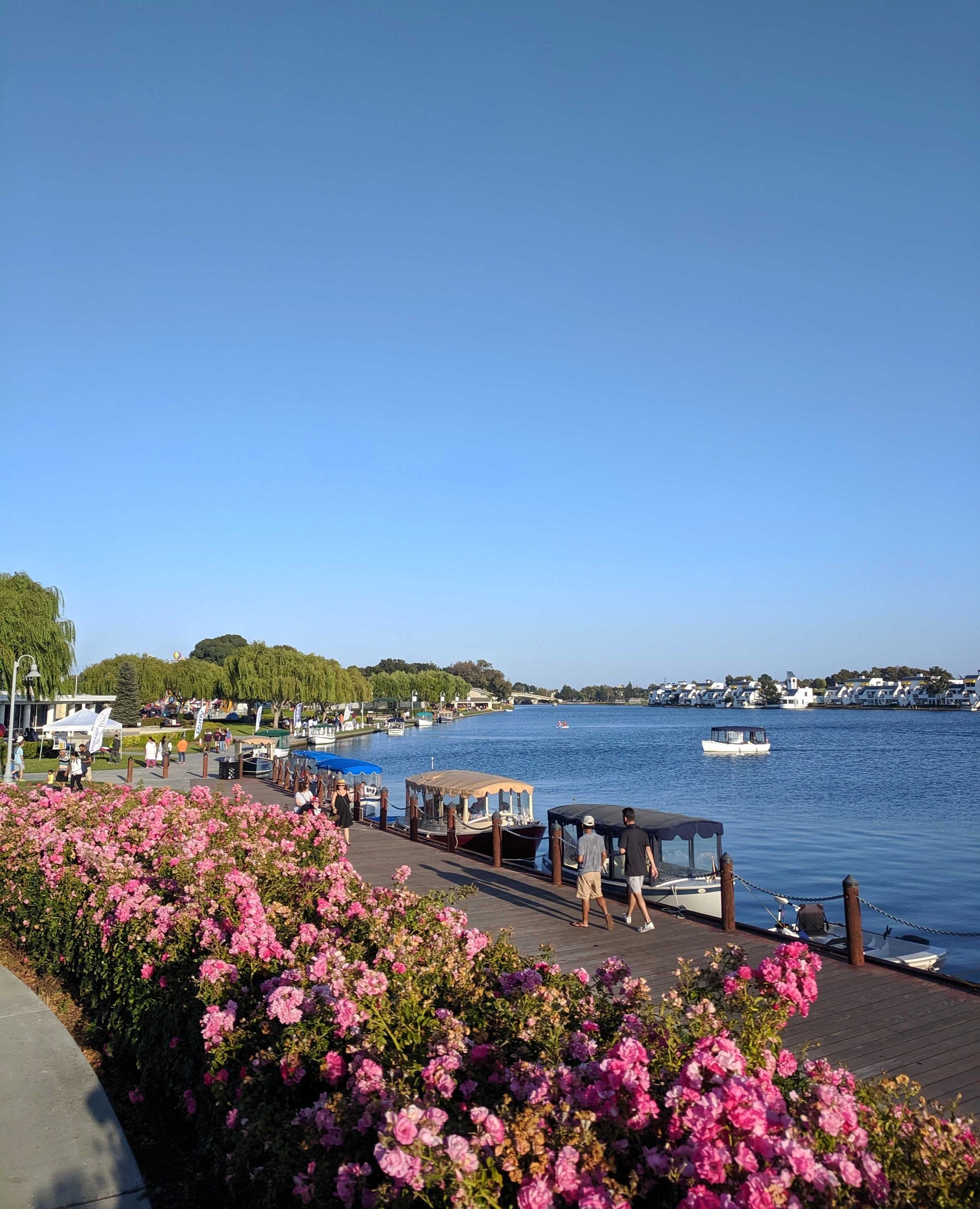 Apply to Vend at Foster City Summer Days 2024 — San José Made