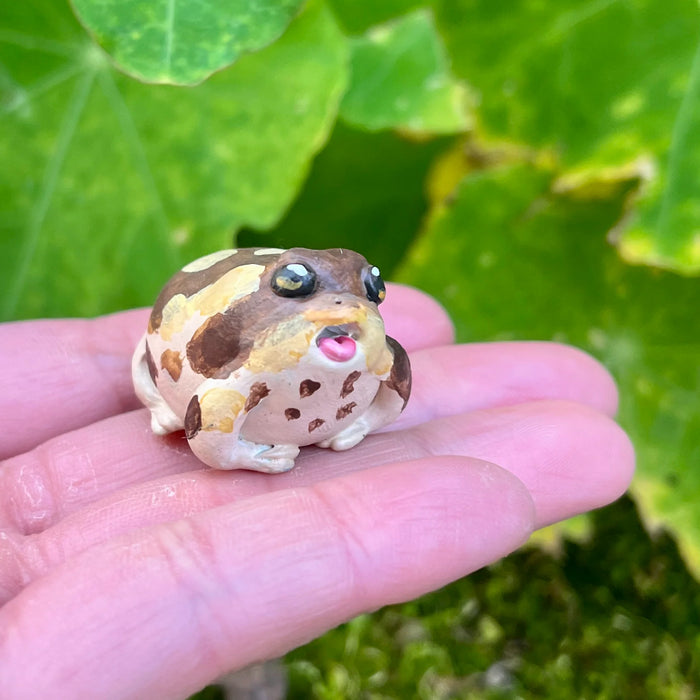 Screaming Rain Frog Figurine