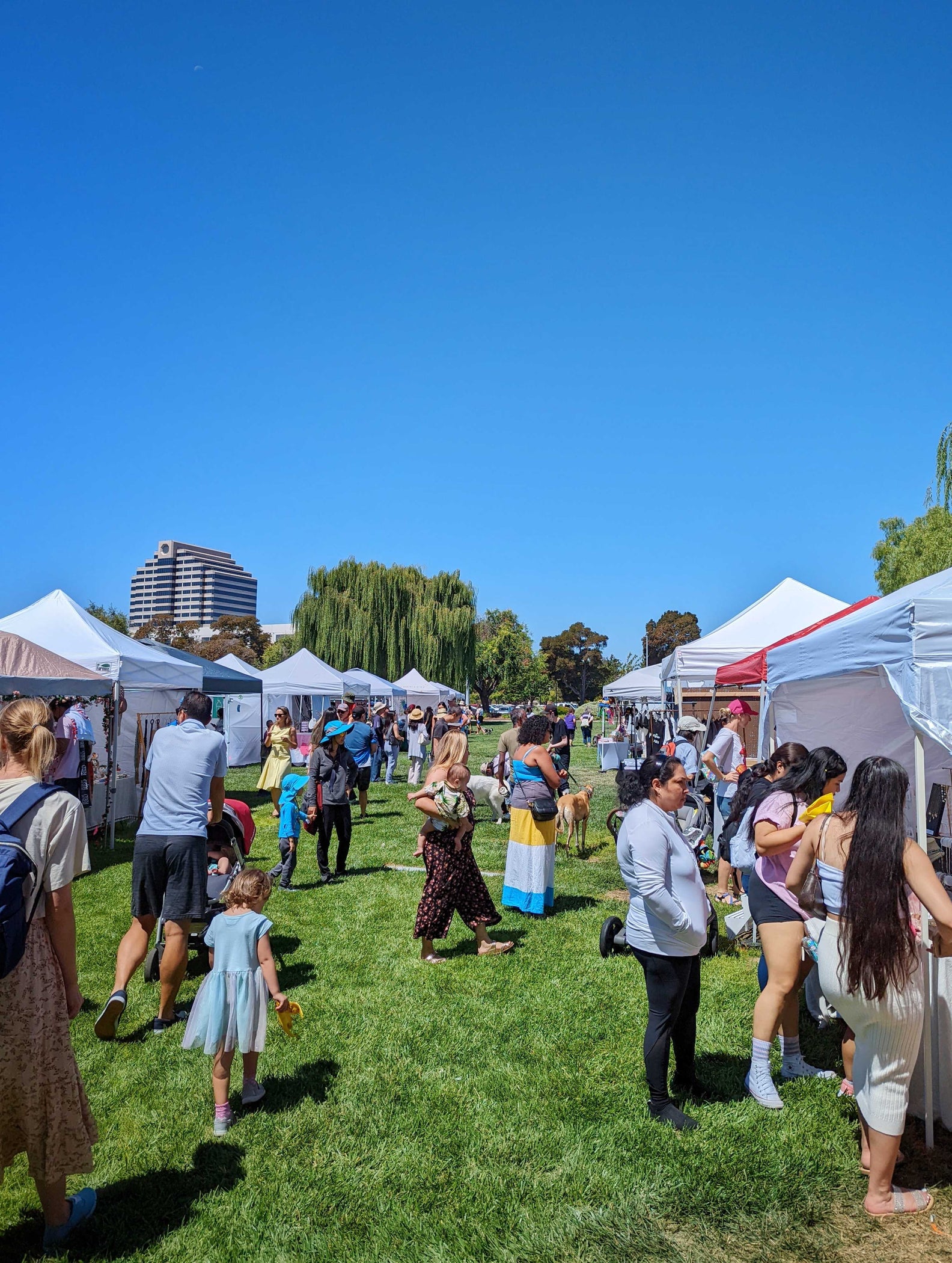Apply to Vend at Foster City Summer Days 2024 — San José Made