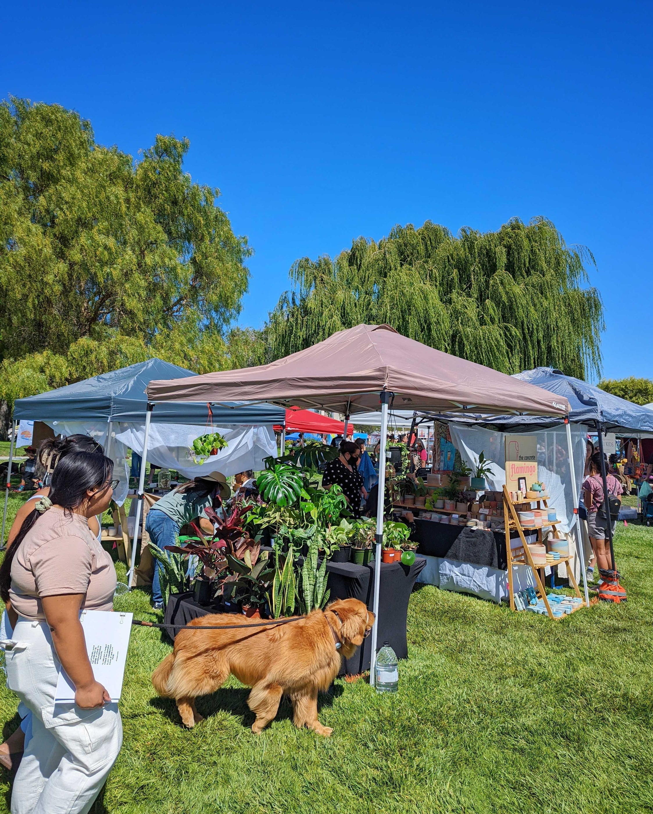 Apply to Vend at Foster City Summer Days 2024 — San José Made