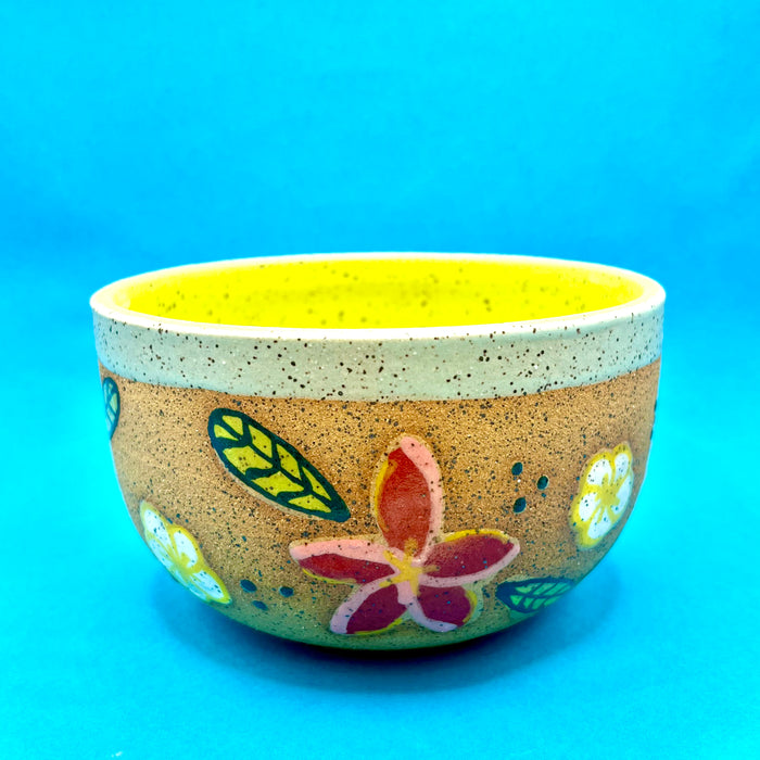 Ceramic Bowls