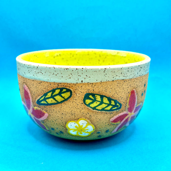 Ceramic Bowls
