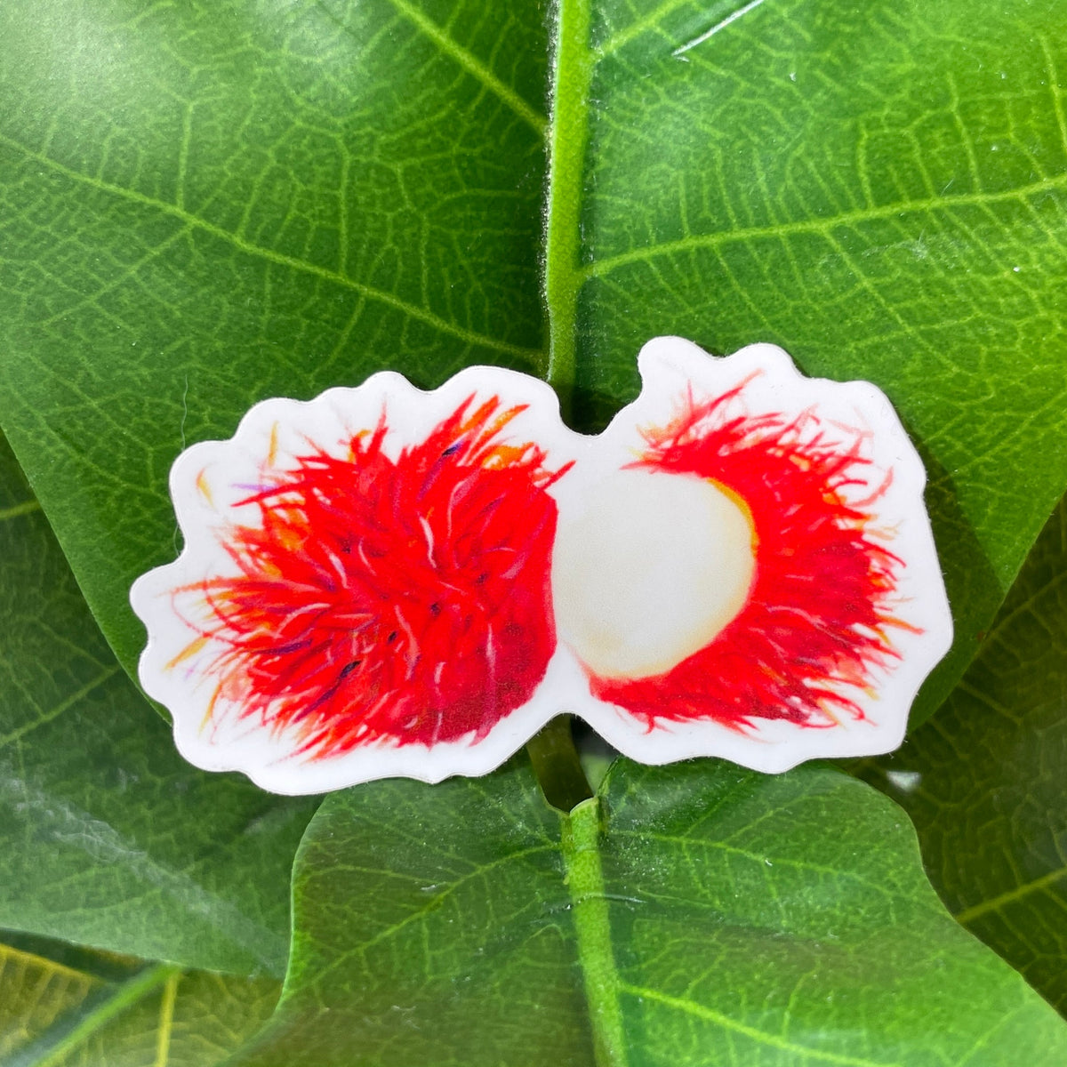 Rambutan Sticker — San José Made
