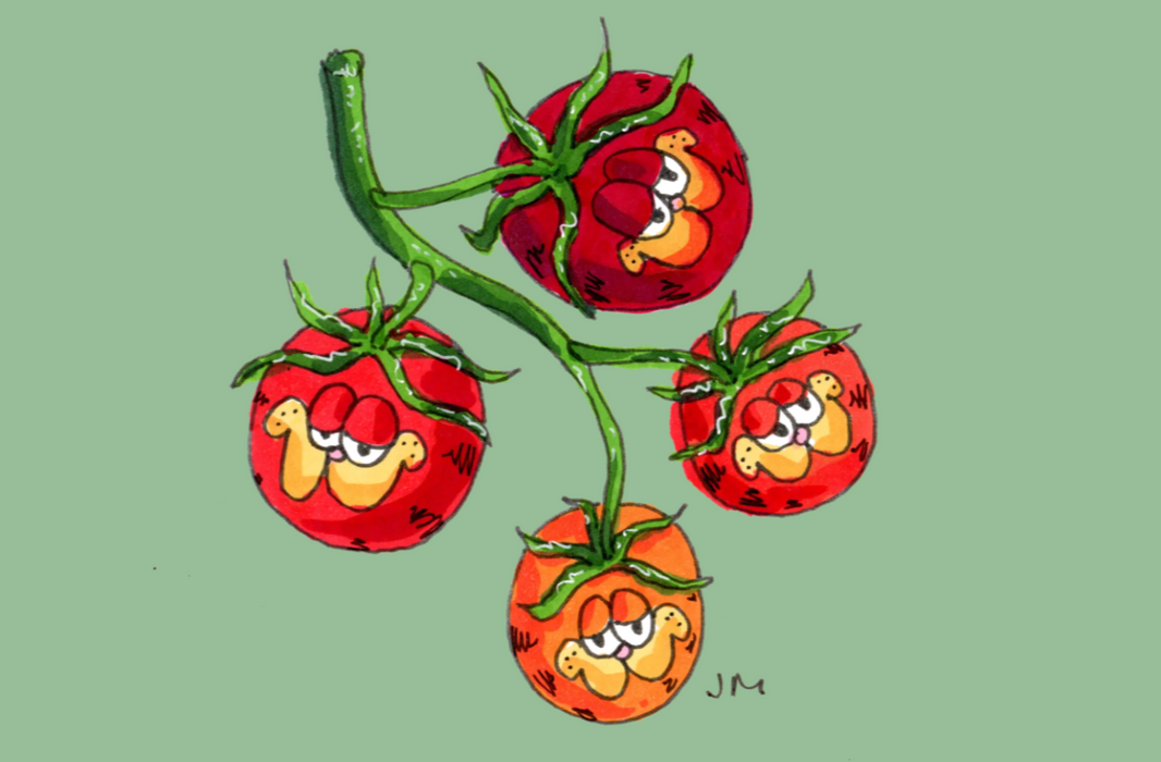 Cherry Tomato Garfield Postcard