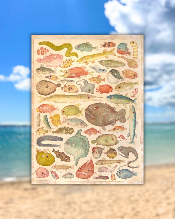 9"x12" Fish Collection Print