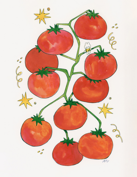 Tomato Season