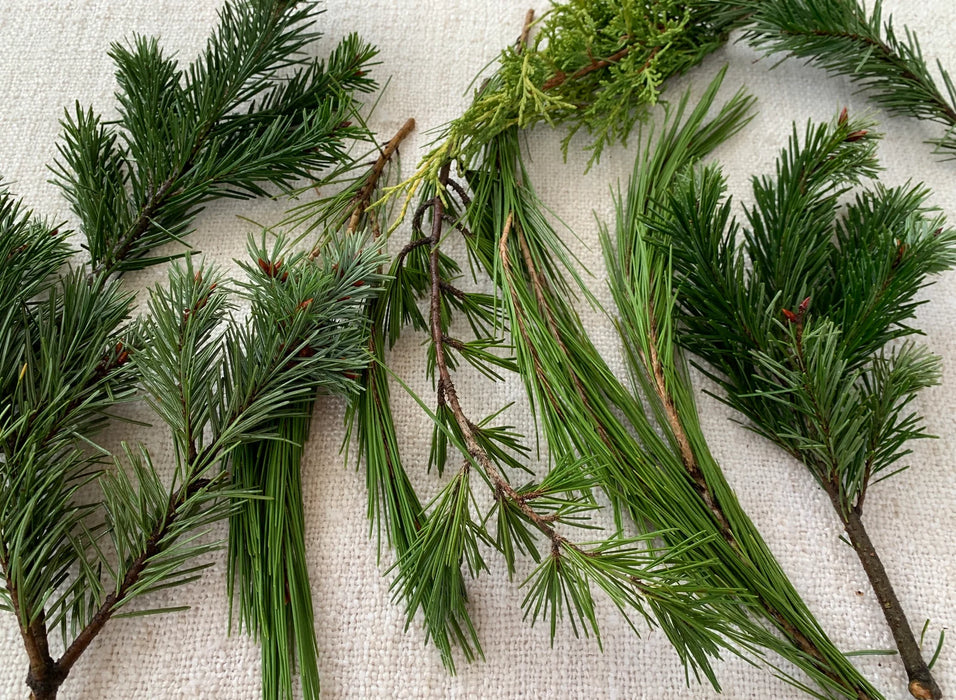 Little Christmas foliage "lucky wreath"