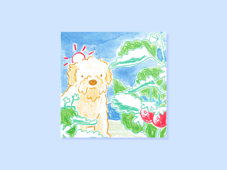 Strawberry Dog Square Print