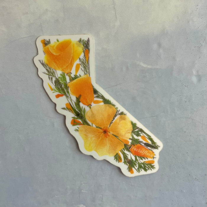 CA Poppy Sticker