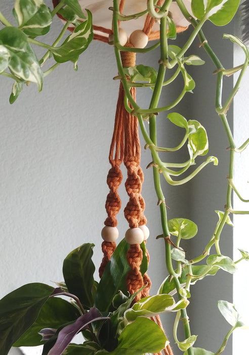 Double Pickett // Plant Hanger (Pre-made)