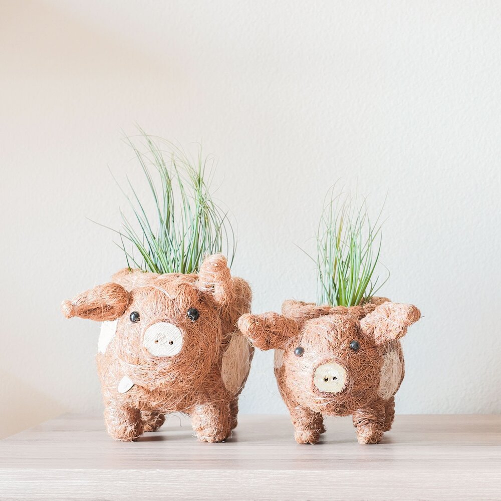 animal planter pot Animal Planter