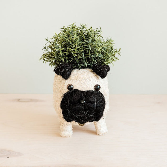Animal Planter - Pug