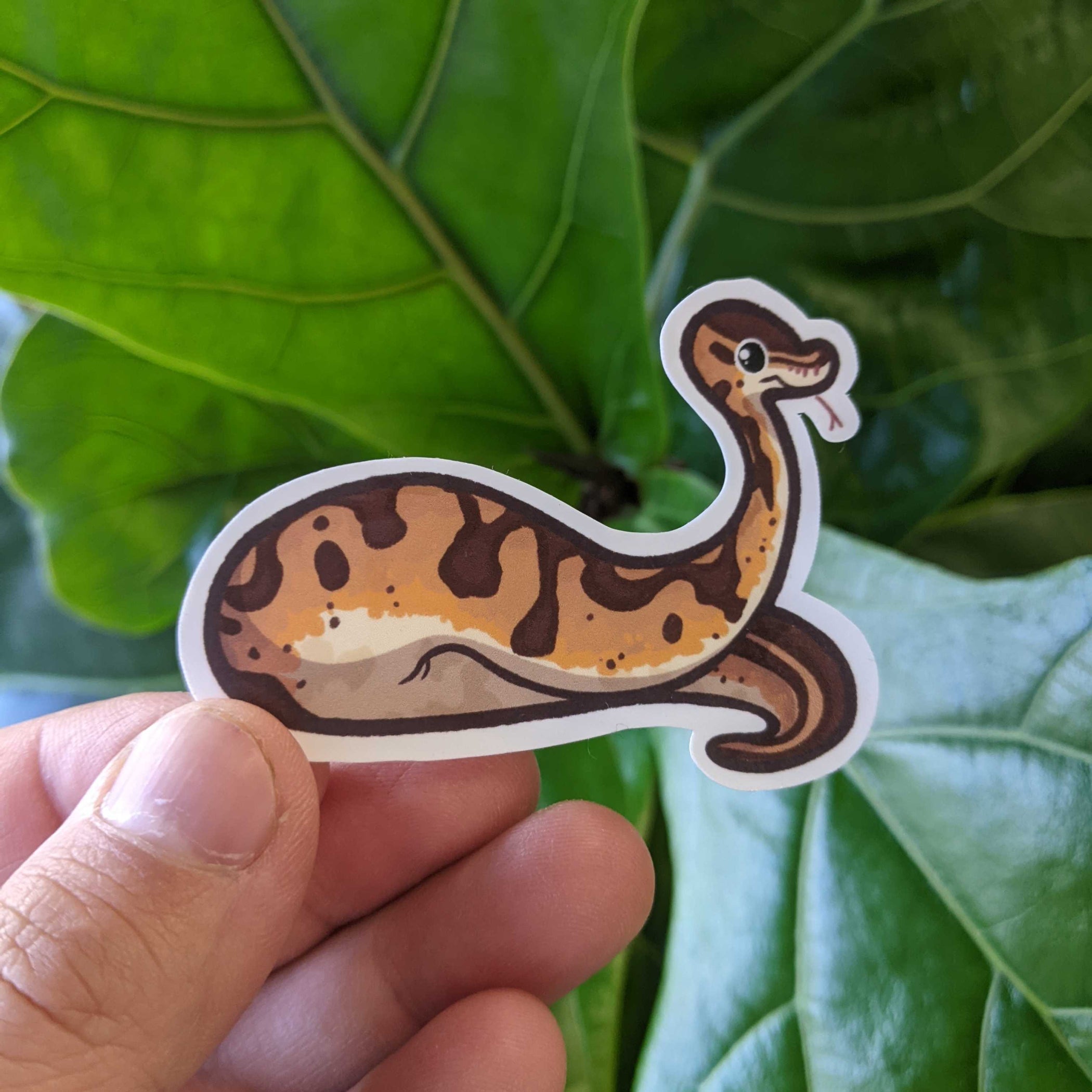 Ball Python Sticker — San José Made