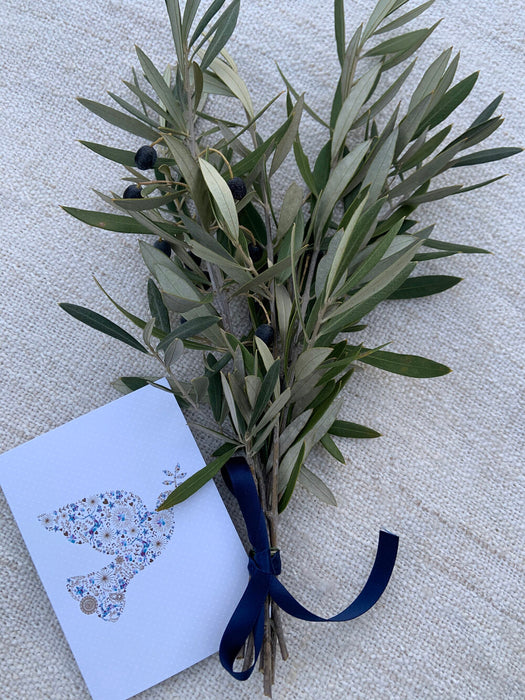 Peace offering - olive branches and a card with the inscription of your choice.  Apology gift, I'm sorry, condolence, sympathy, bereavement