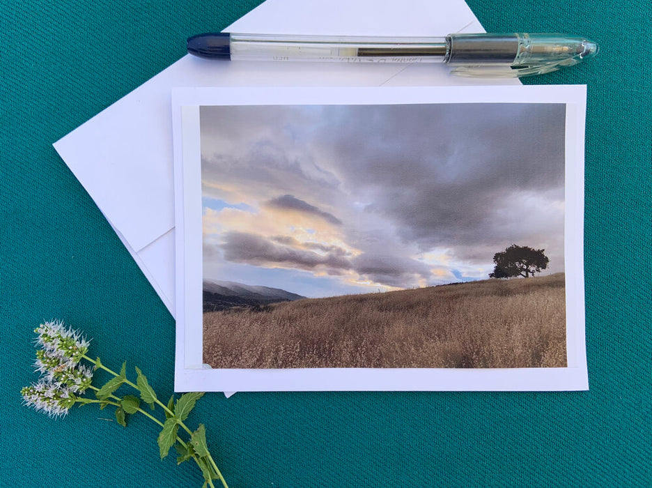Original photography greeting card - oak tree and storm clouds