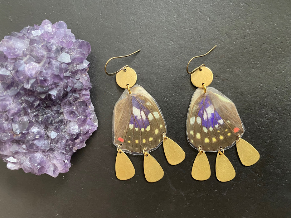 Statement earrings Real butterfly wing dangles natural butterfly wings earrings no insects harmed brass earrings