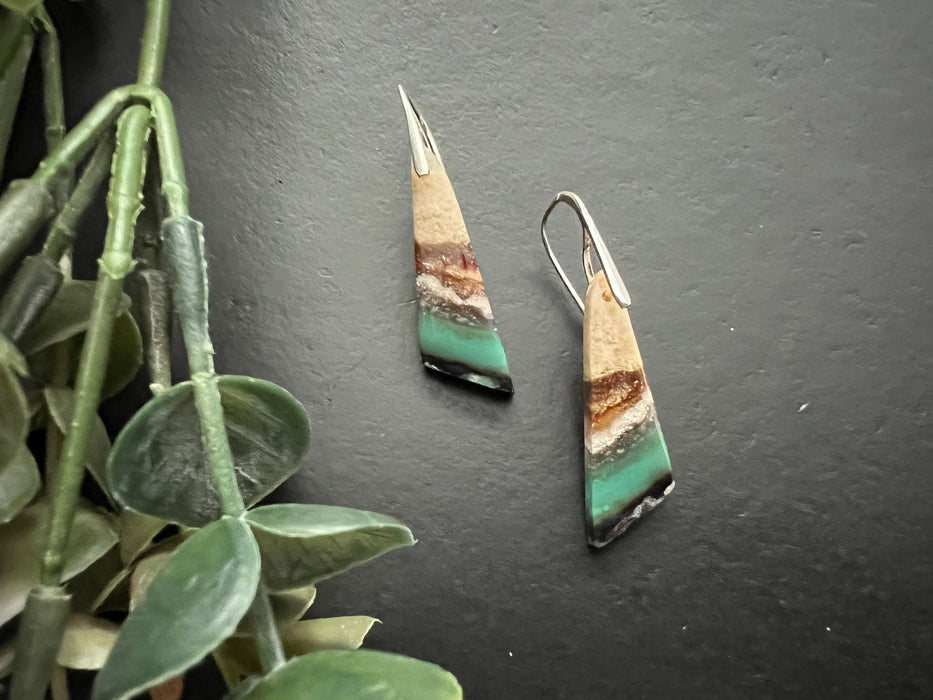 Opal petrified wood earrings, beach earrings , opalized wood earrings, fossil earrings, delicate earrings