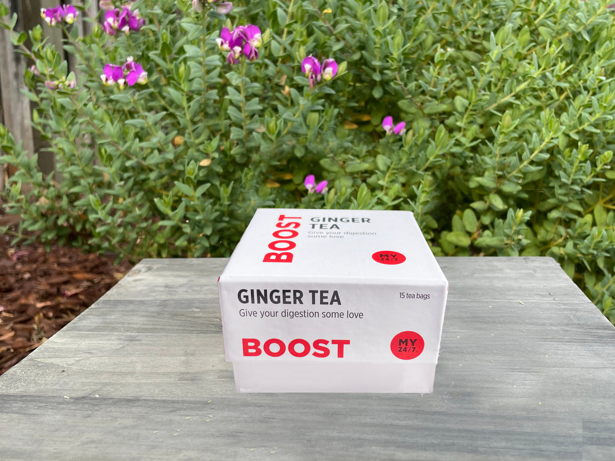 GINGER TEA, ORGANIC — San José Made GINGER TEA, ORGANIC — San José Made
